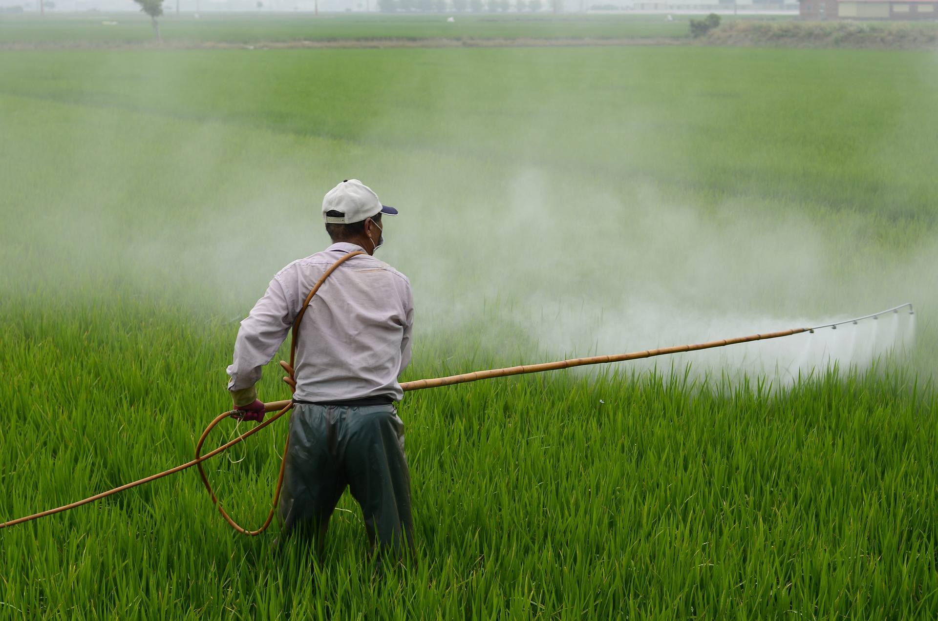 Integrated Pest Management
