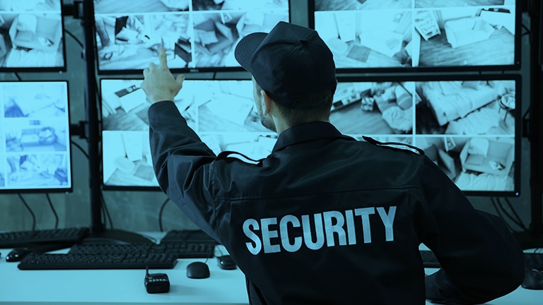 Electronic Security System