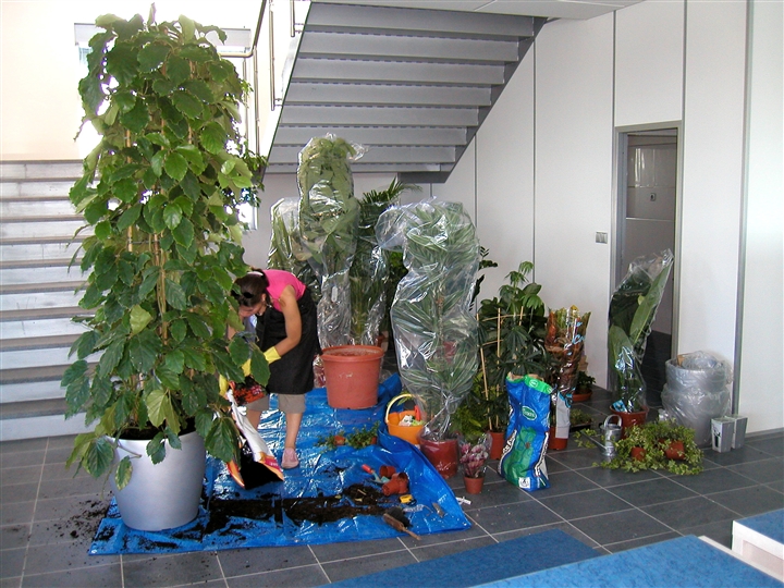 Plant Selection & Installation