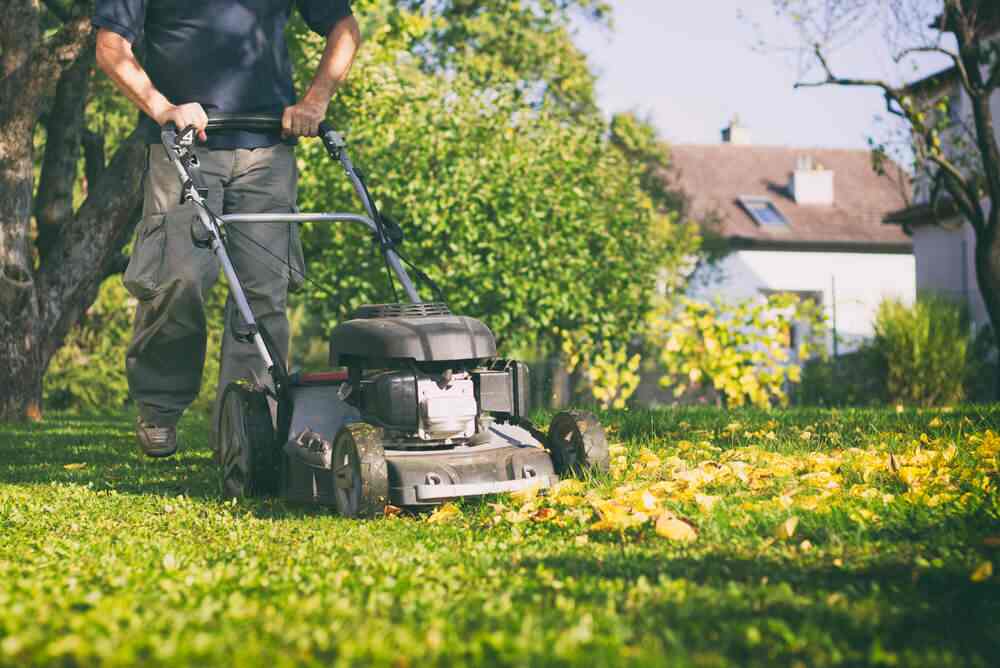 Maintenance Services