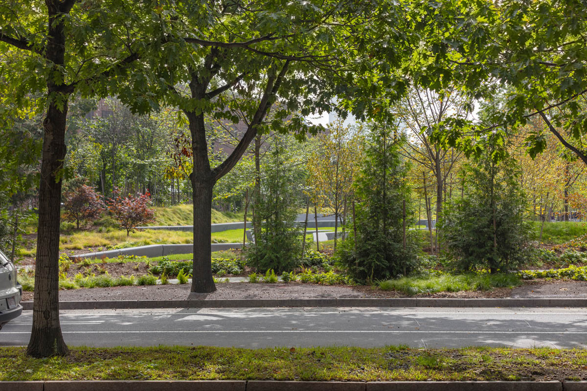 Urban Forestry Planning